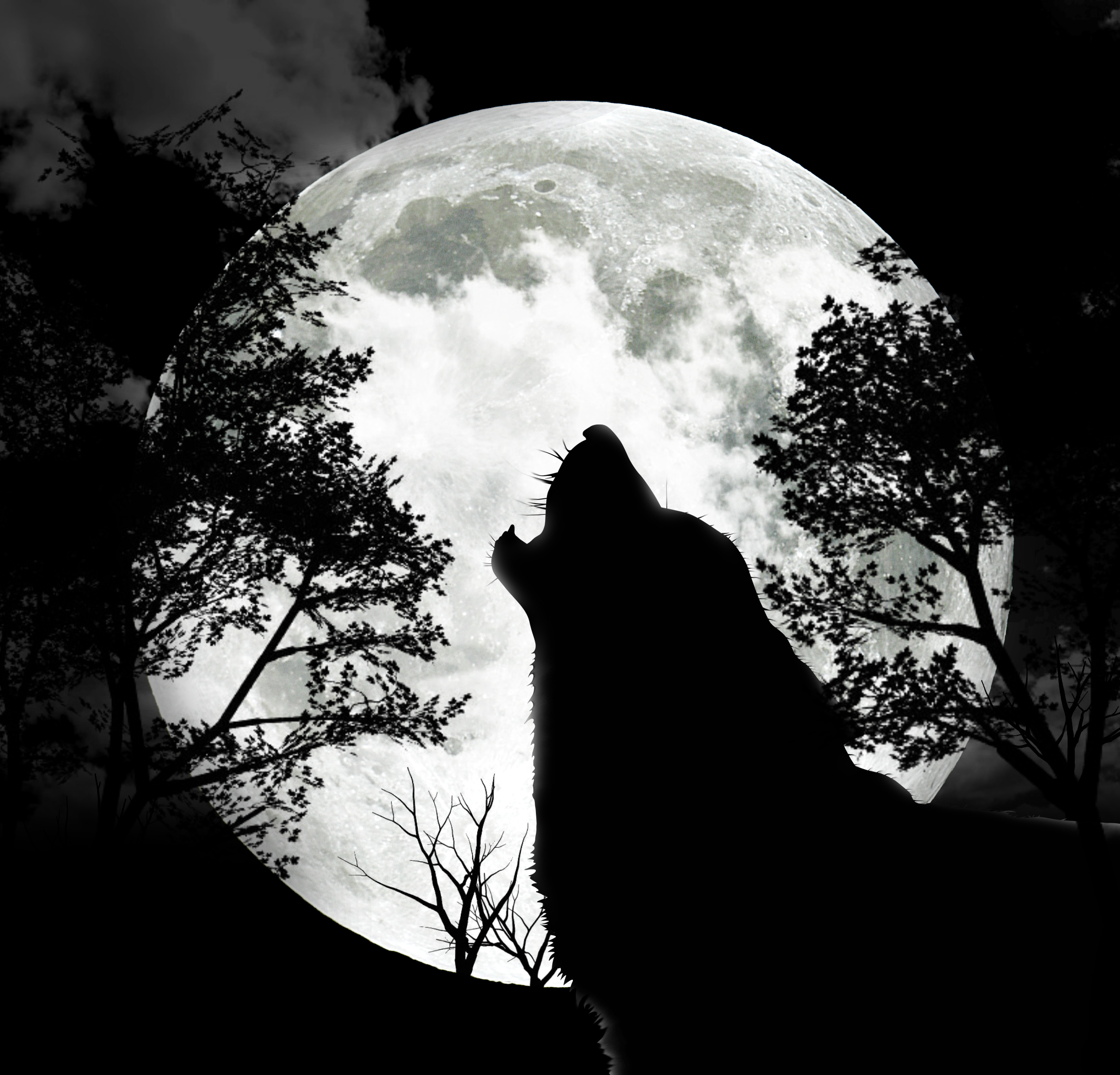 The Full Wolf Moon 9th January 12 Lost in a daydream