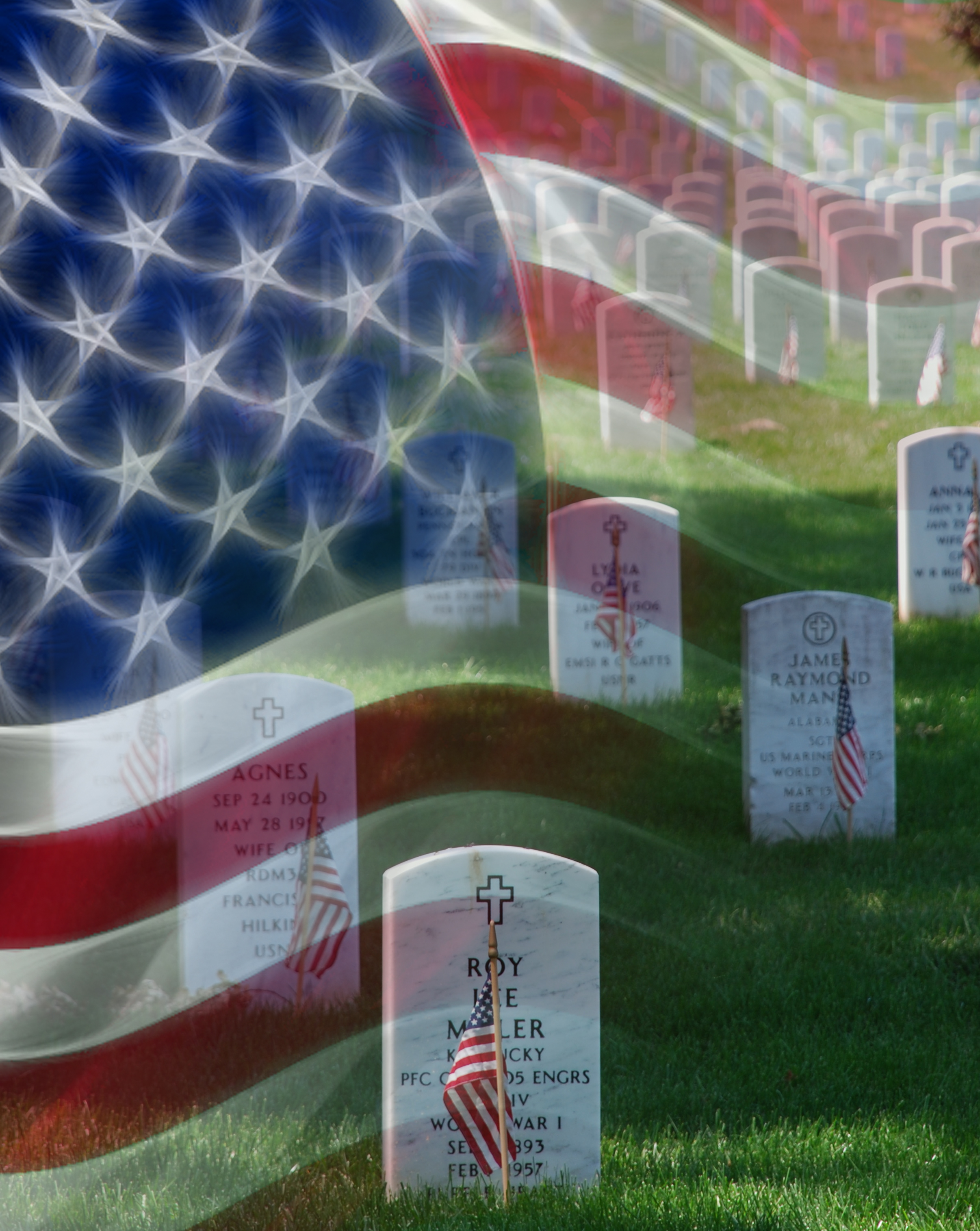 Memorial Day Poster Graves At Arlington National