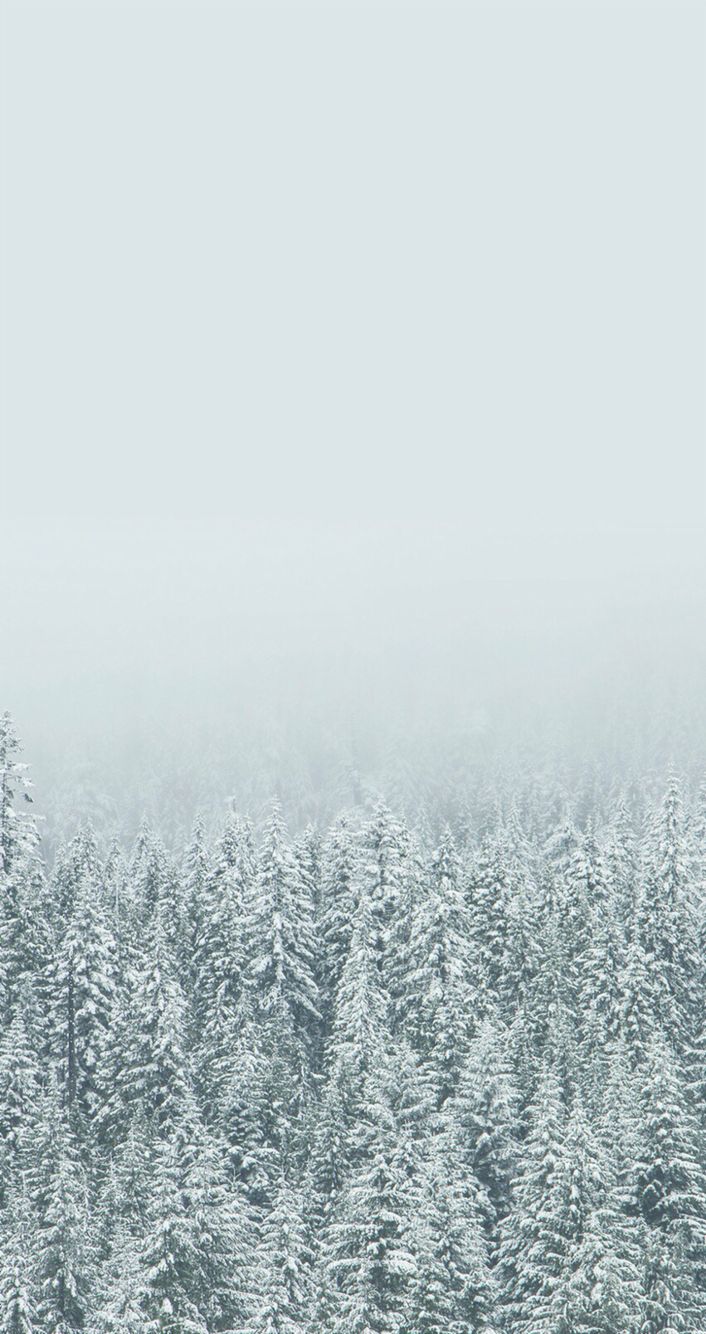 Winter iPhone Wallpaper