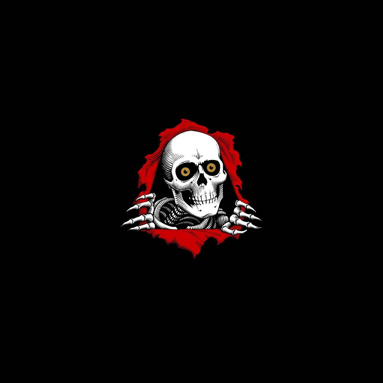Powell Peralta Wallpaper Top Background