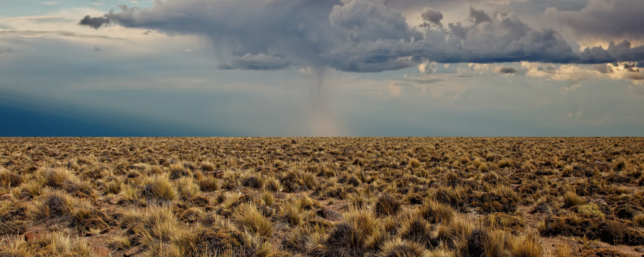 Wallpaper Desert Vegetation Clouds Before A Rain Dual