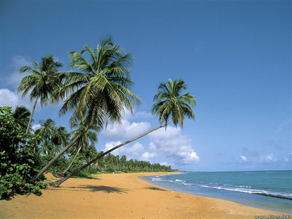 Beautiful Deserted Beach Puerto Rico HD Wallpaper