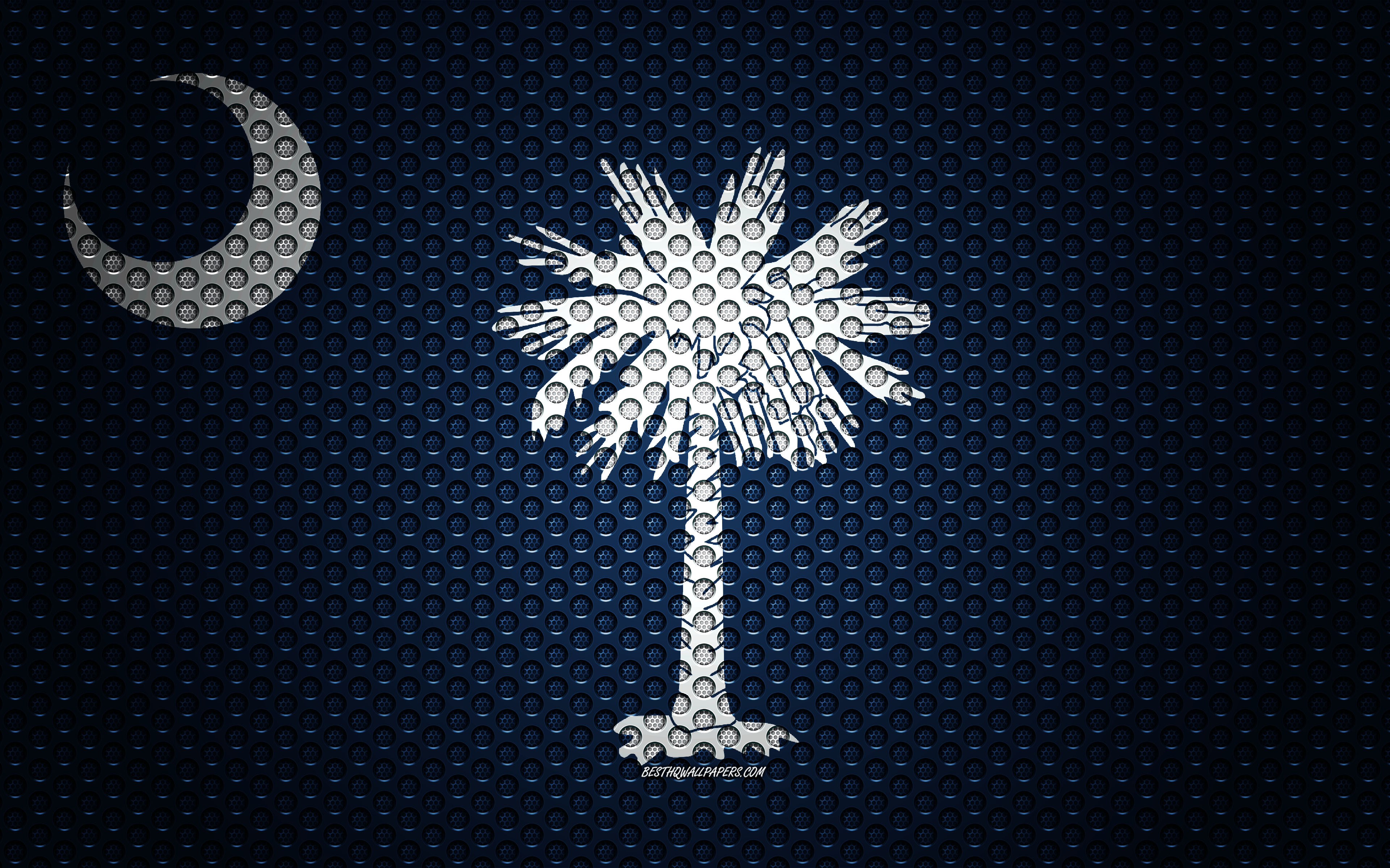 Wallpaper Flag Of South Carolina 4k American State
