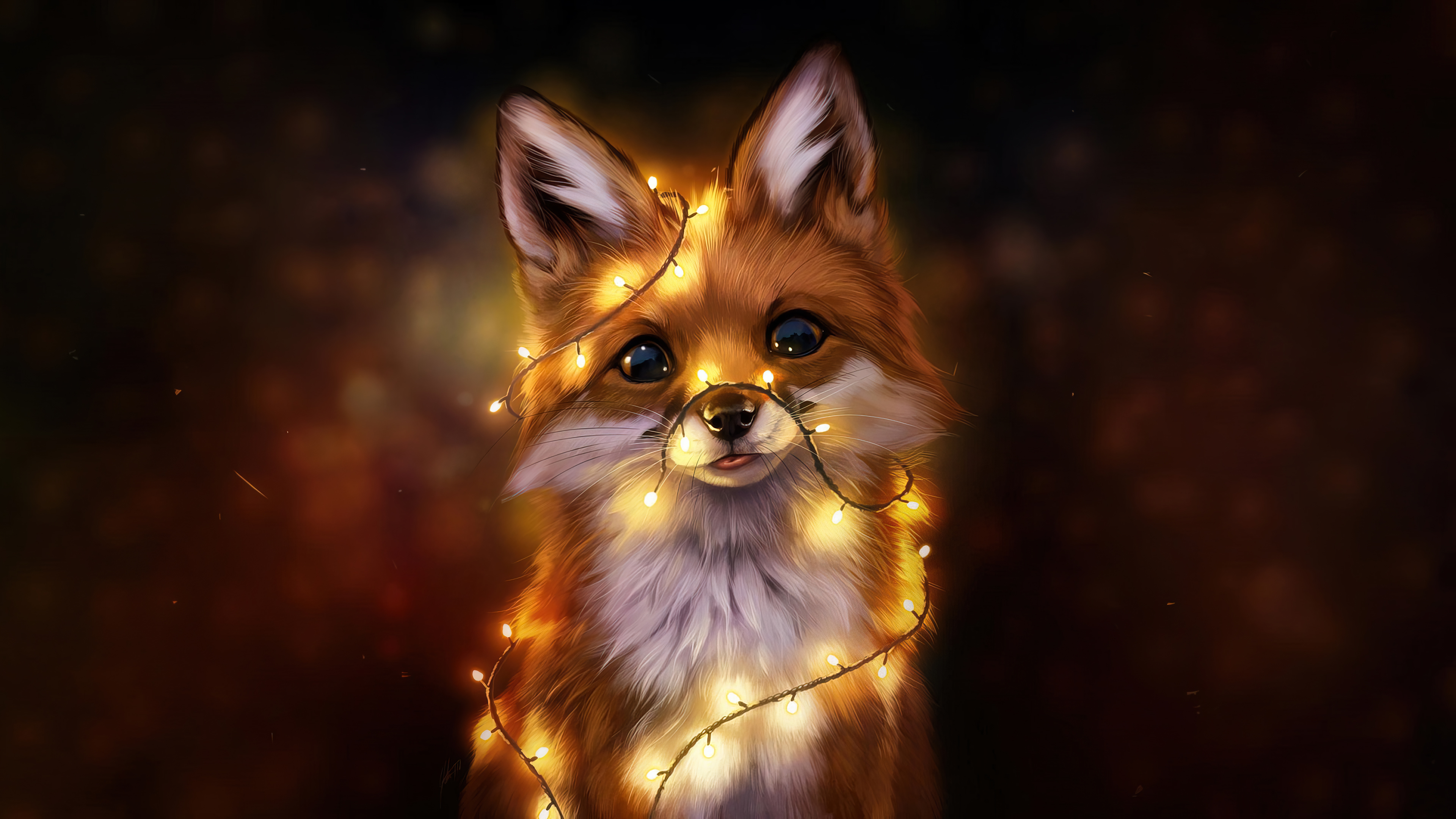 Fox Cute Wallpaper 4k