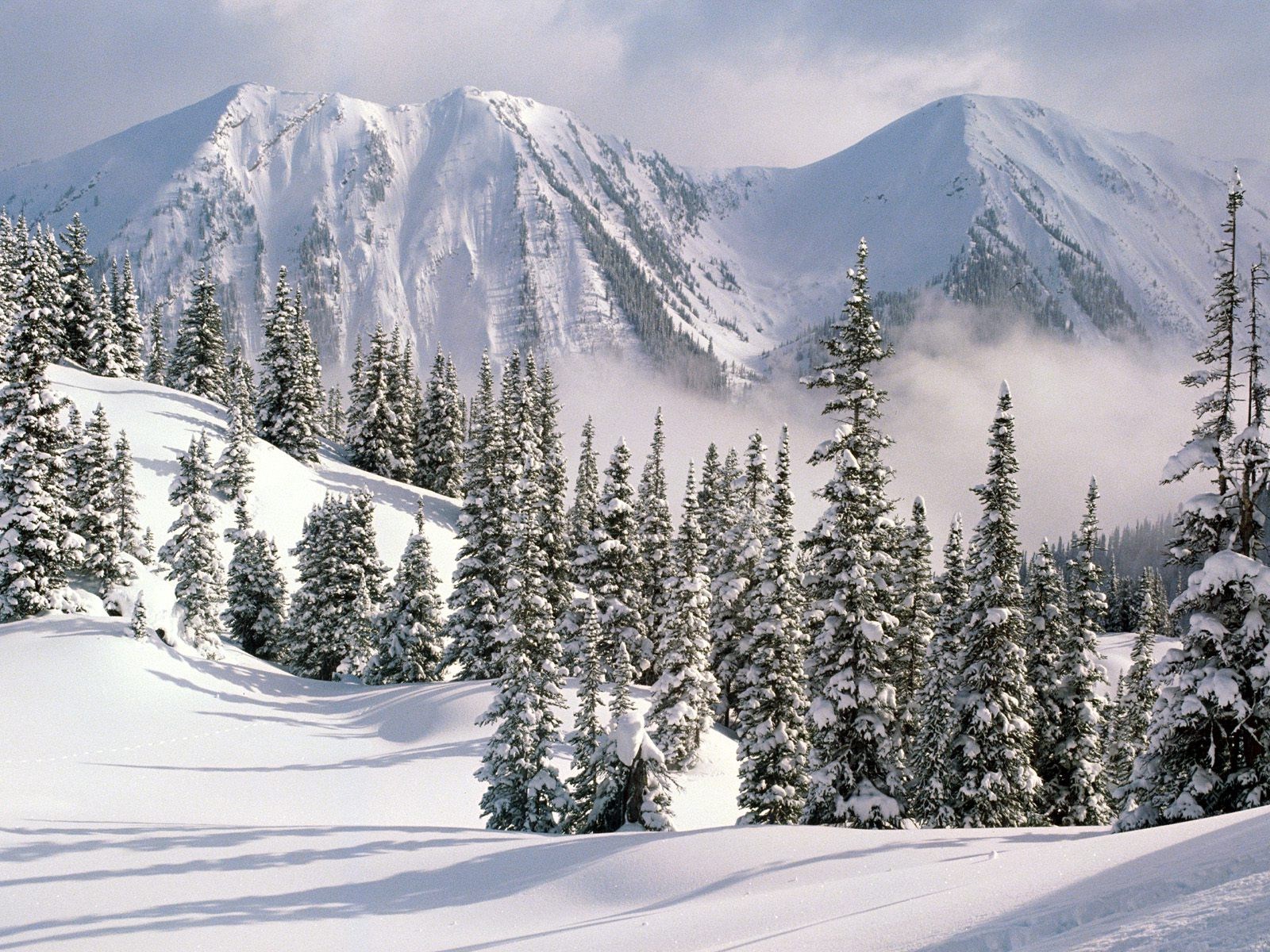 Ice Snowy Mountains Wallpaper Hd High Resolution For