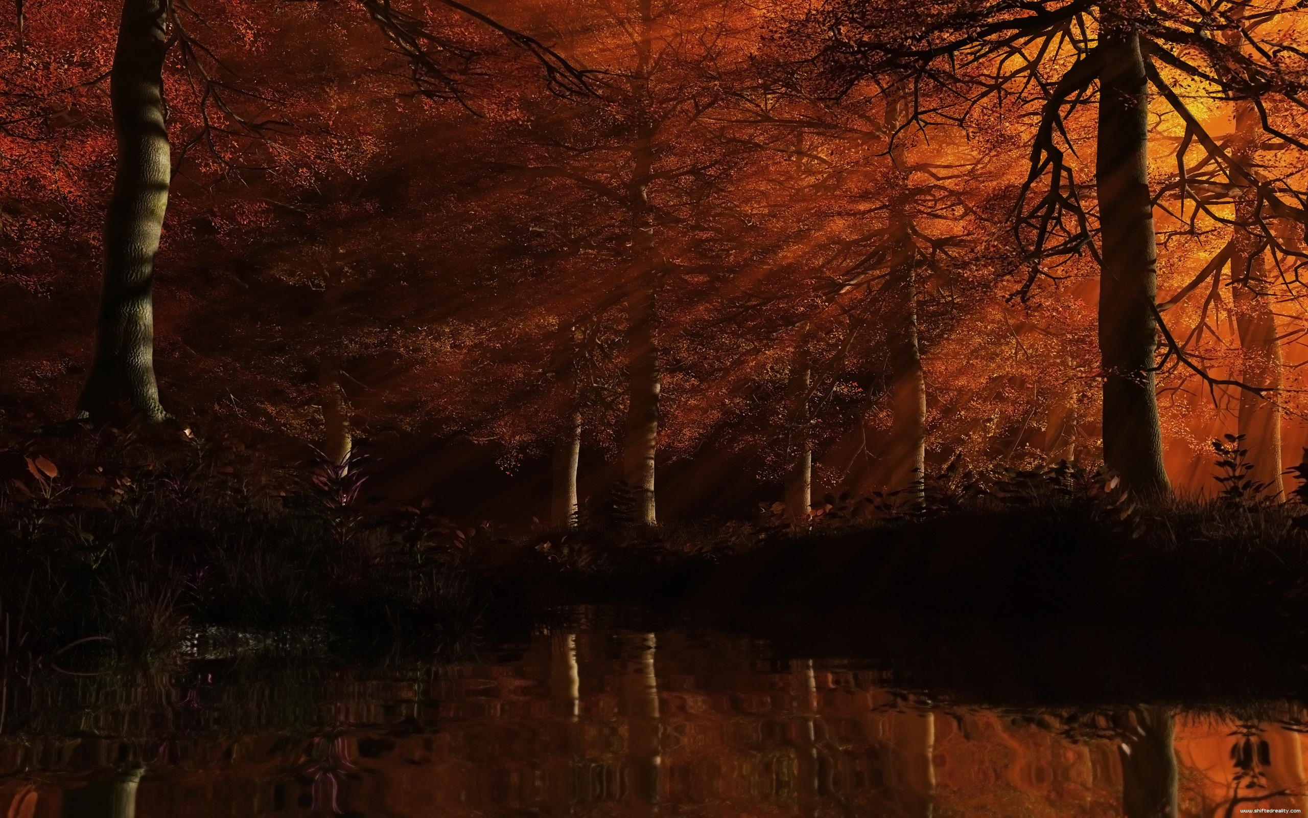 Red Green Yellow Autumn Leaves In Dark Background HD Autumn Wallpapers  HD  Wallpapers  ID 94535