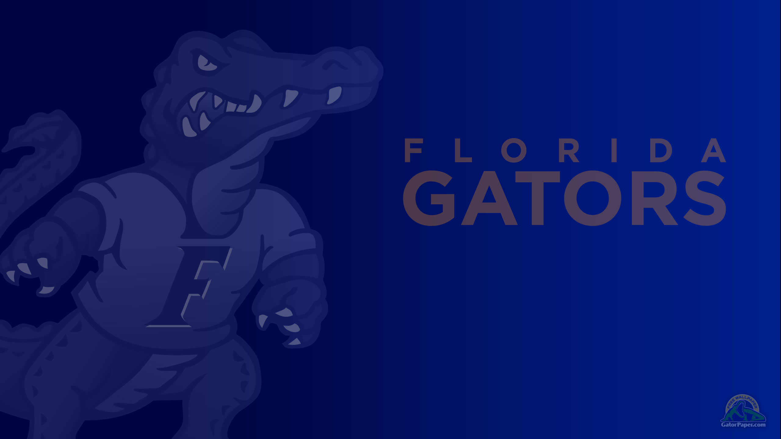 Wallpaper Dark Blue Screensavers Gators Background Florida