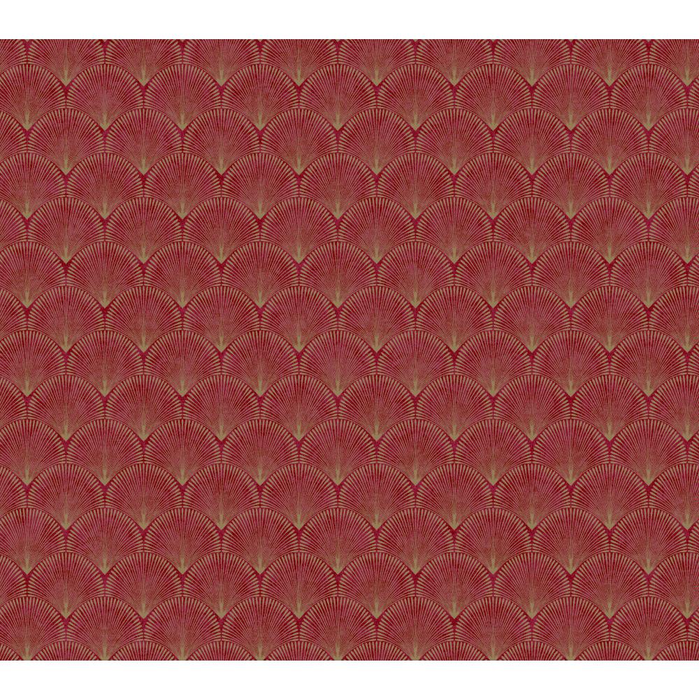 Sophisticated Seashell Wallpaper Border Inc