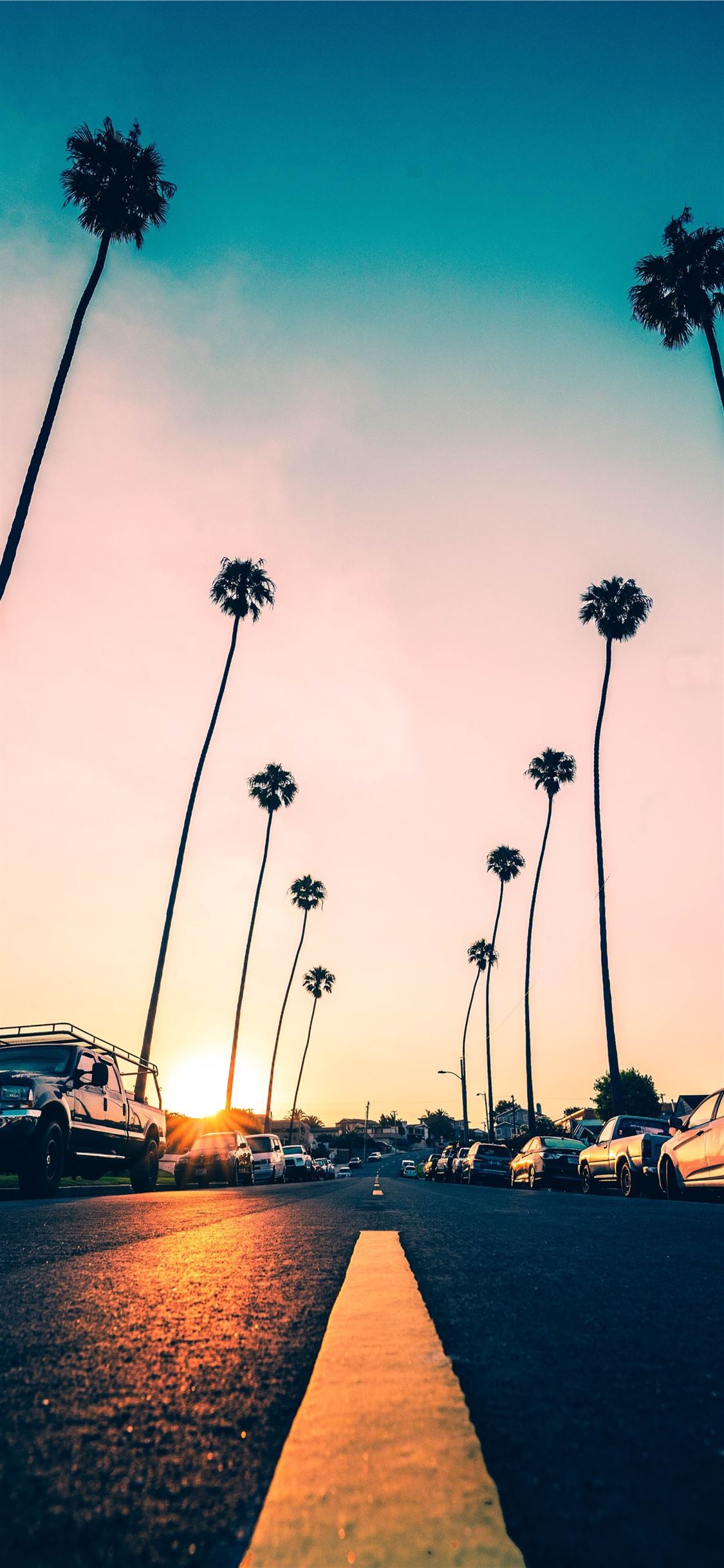 California Wallpaper Featuring Palm Tree Silhouettes Stock Illustration  1820970284 | Shutterstock