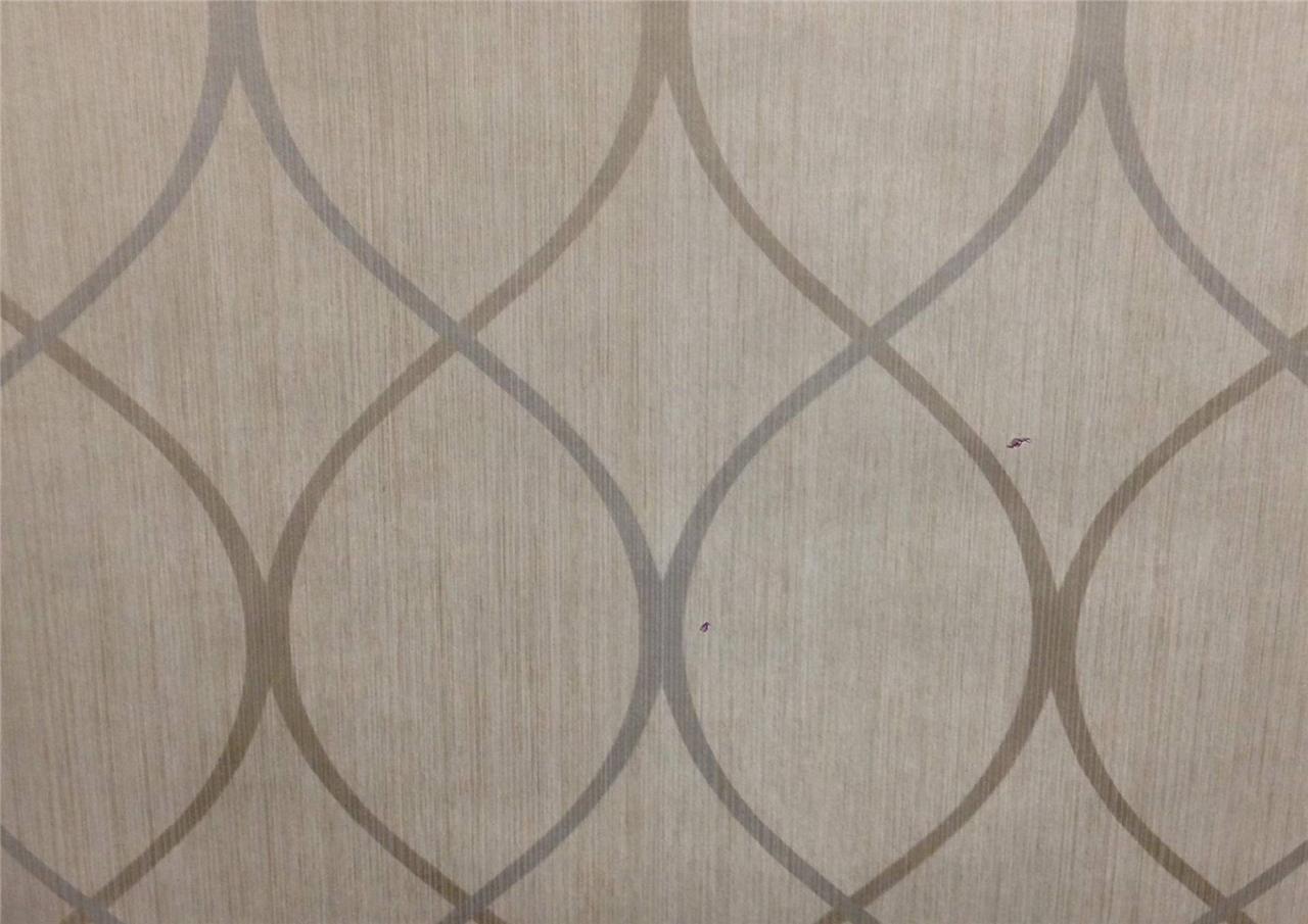Wallpaper Designer Modern Trellis Tone on Tone Big Stripe Platinum