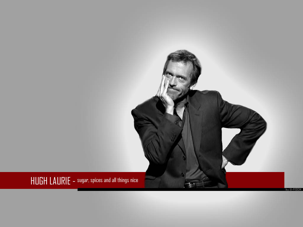 Hugh Laurie Wallpaper HD Pulse