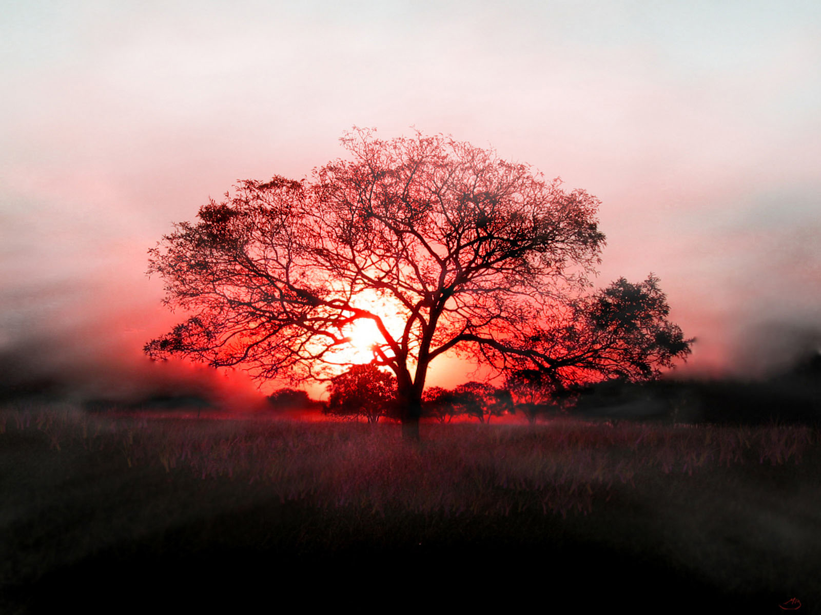 Amazing Red Sunset Puter Desktop Wallpaper Pictures Image