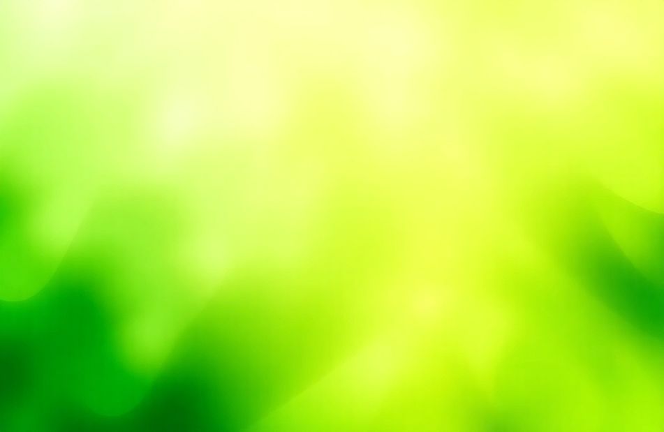 Green Color Background Wallpaper