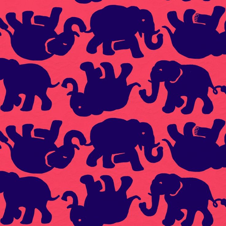 iPhone Background Elephant Prints Tusk In Sun Lilly Pulitzer Kids