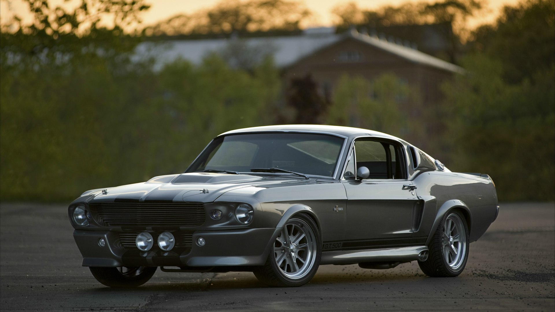 Wallpaper Shelby Gt Eleanor Ford