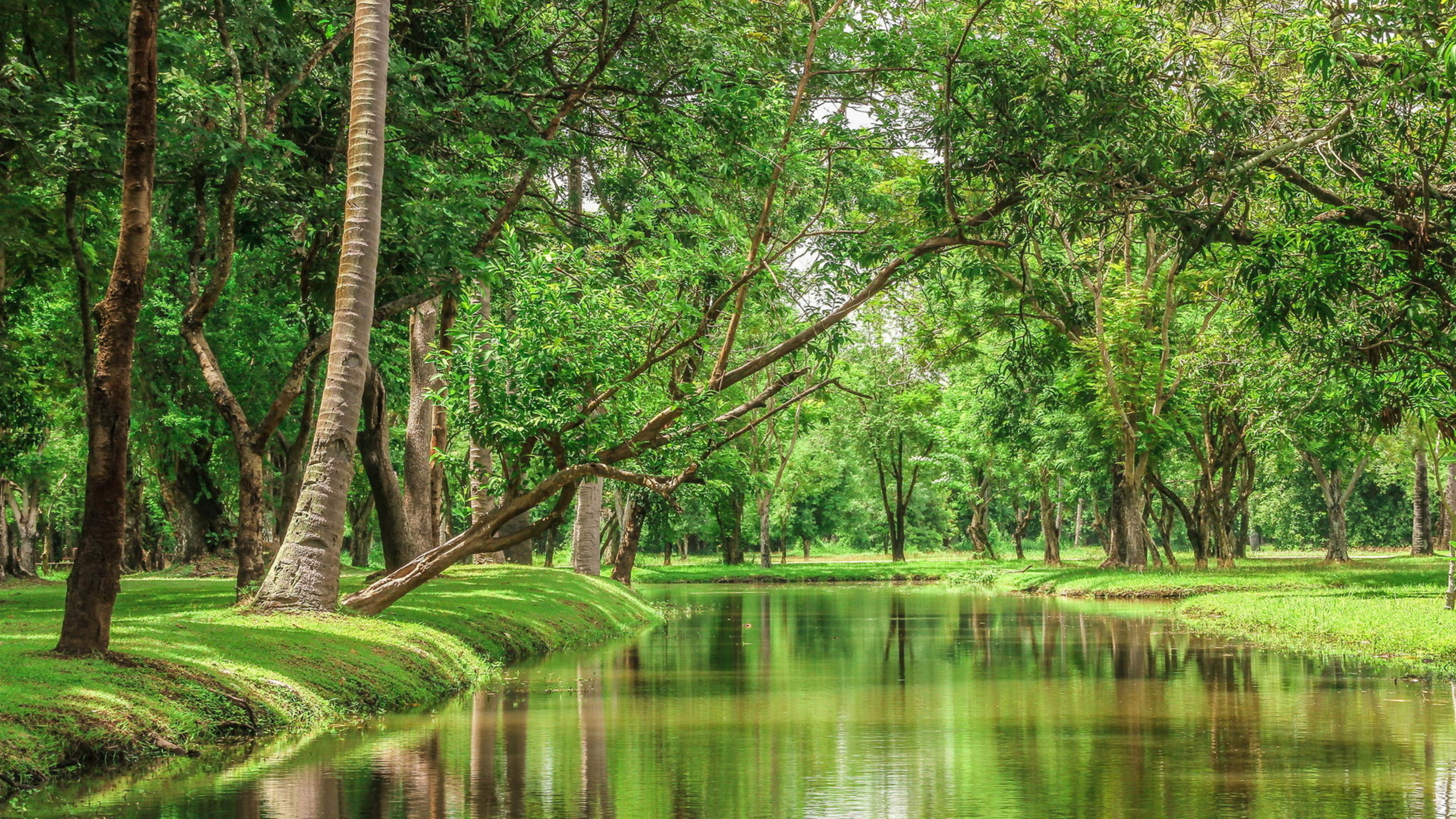 Wallpaper Beautiful Nature River In The Green