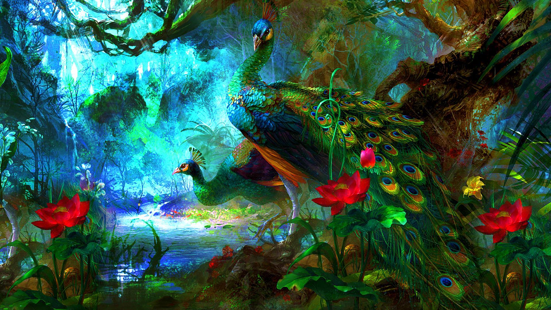 Peacock Backgrounds Free