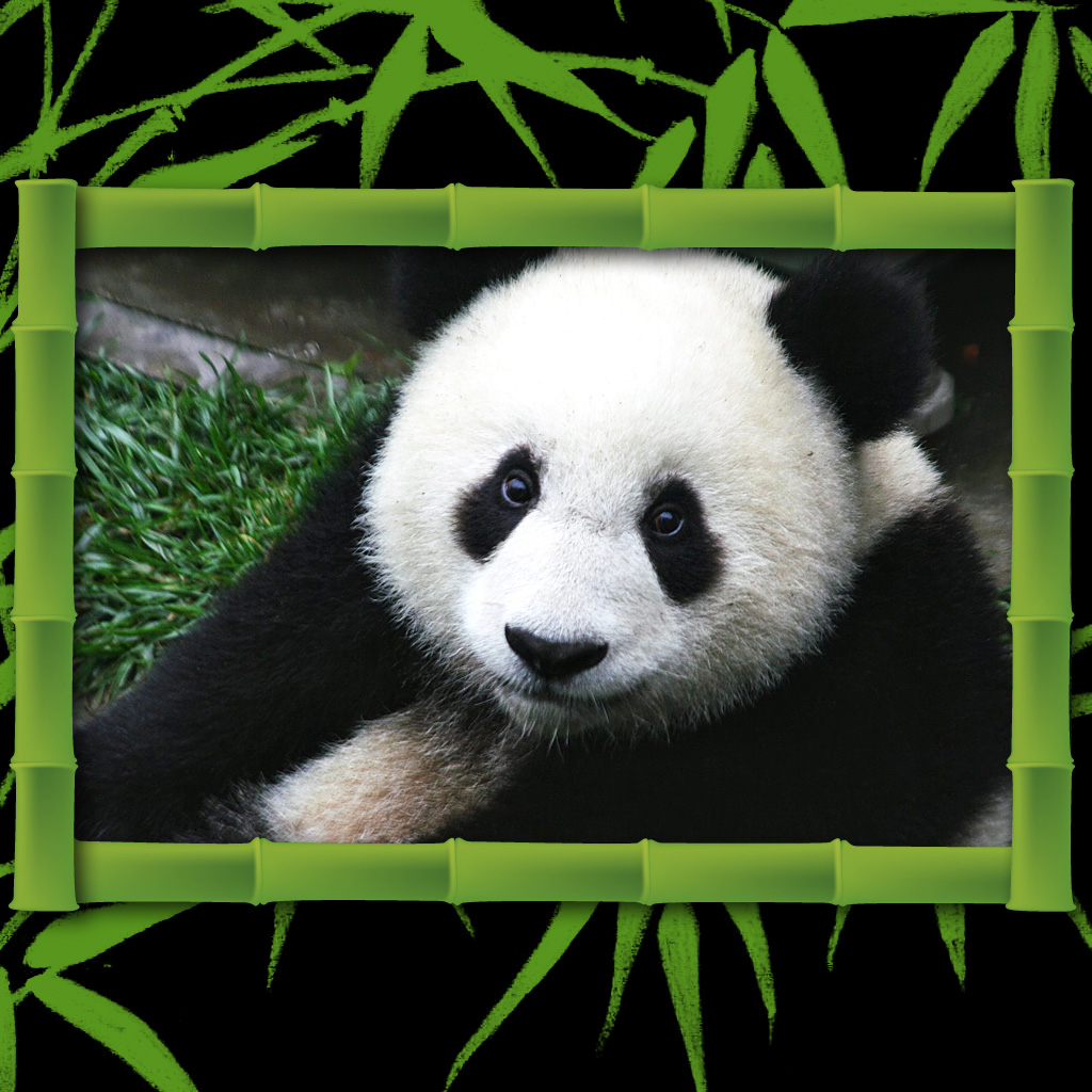 Kirkus Res The Three Pandas For iPad And iPhone