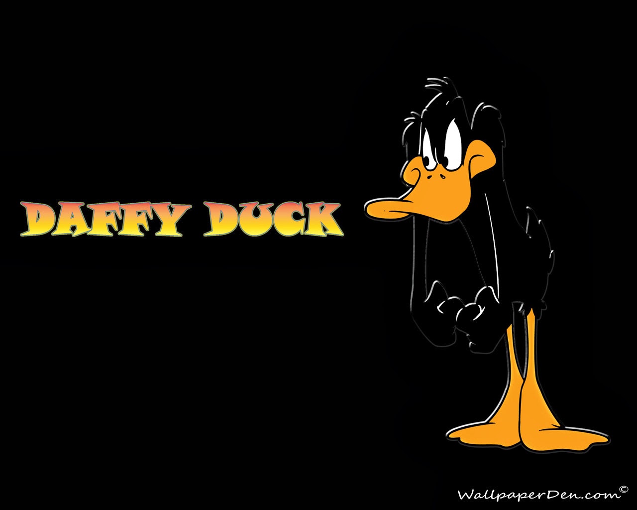 HD Wallpaper Daffy Duck