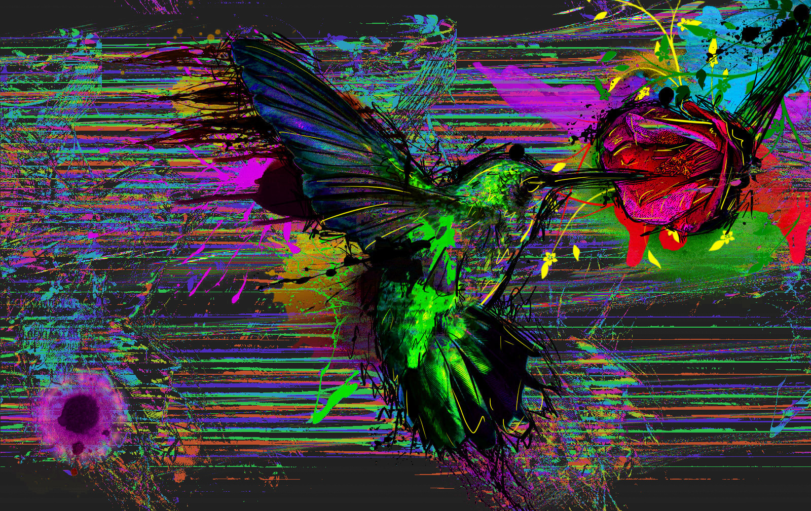 Funky Abstract Bird Colibri Wallpaper Id
