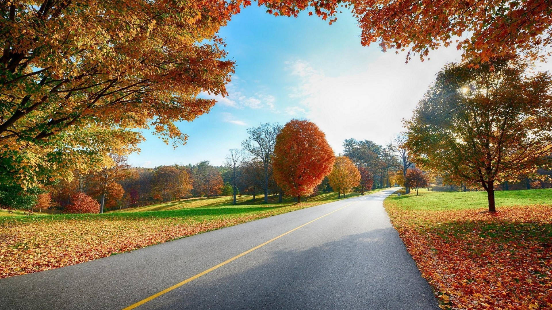 Full HD Nature Wallpaper