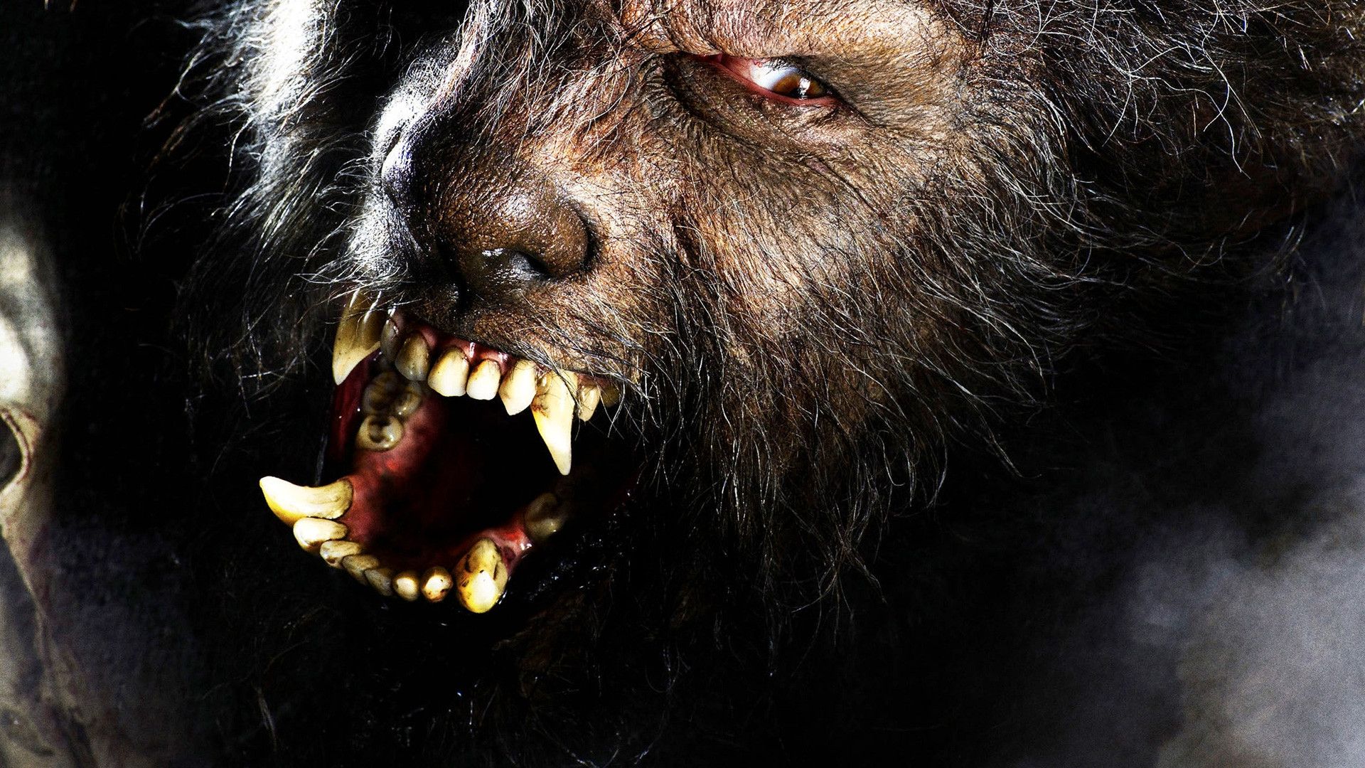 The Wolfman Dark Werewolf F Wallpaper