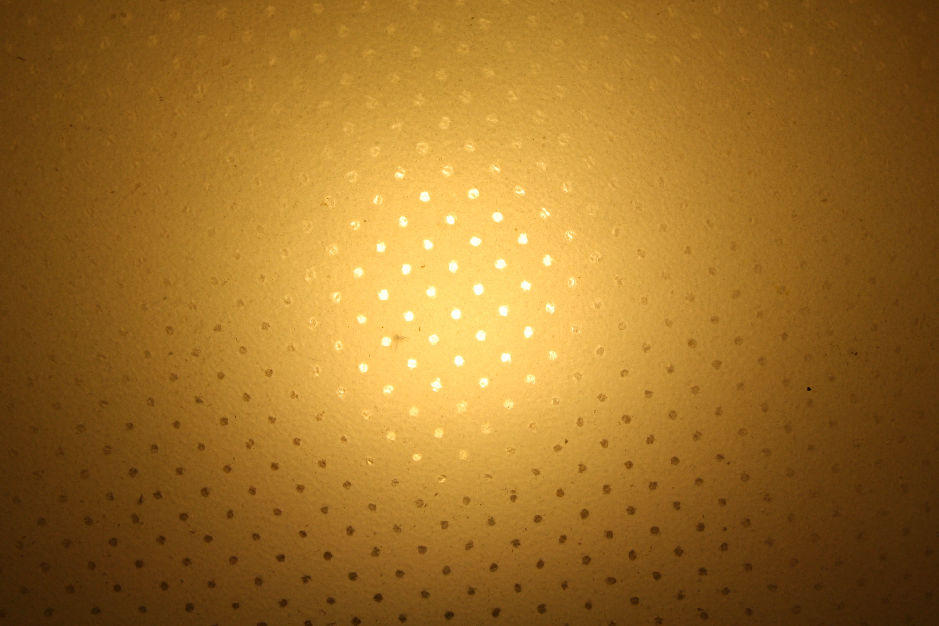 Light Gold Background Wallpaper
