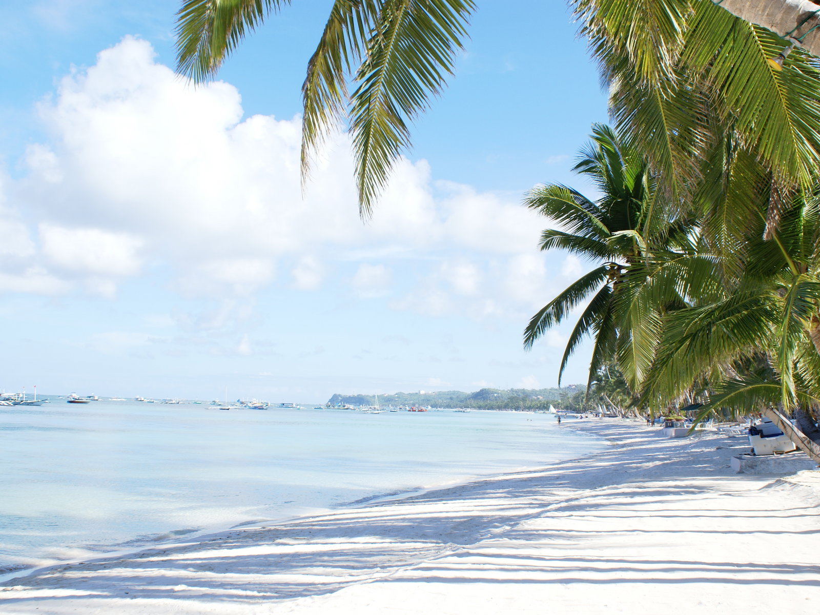 Beach Vacation Wallpaper