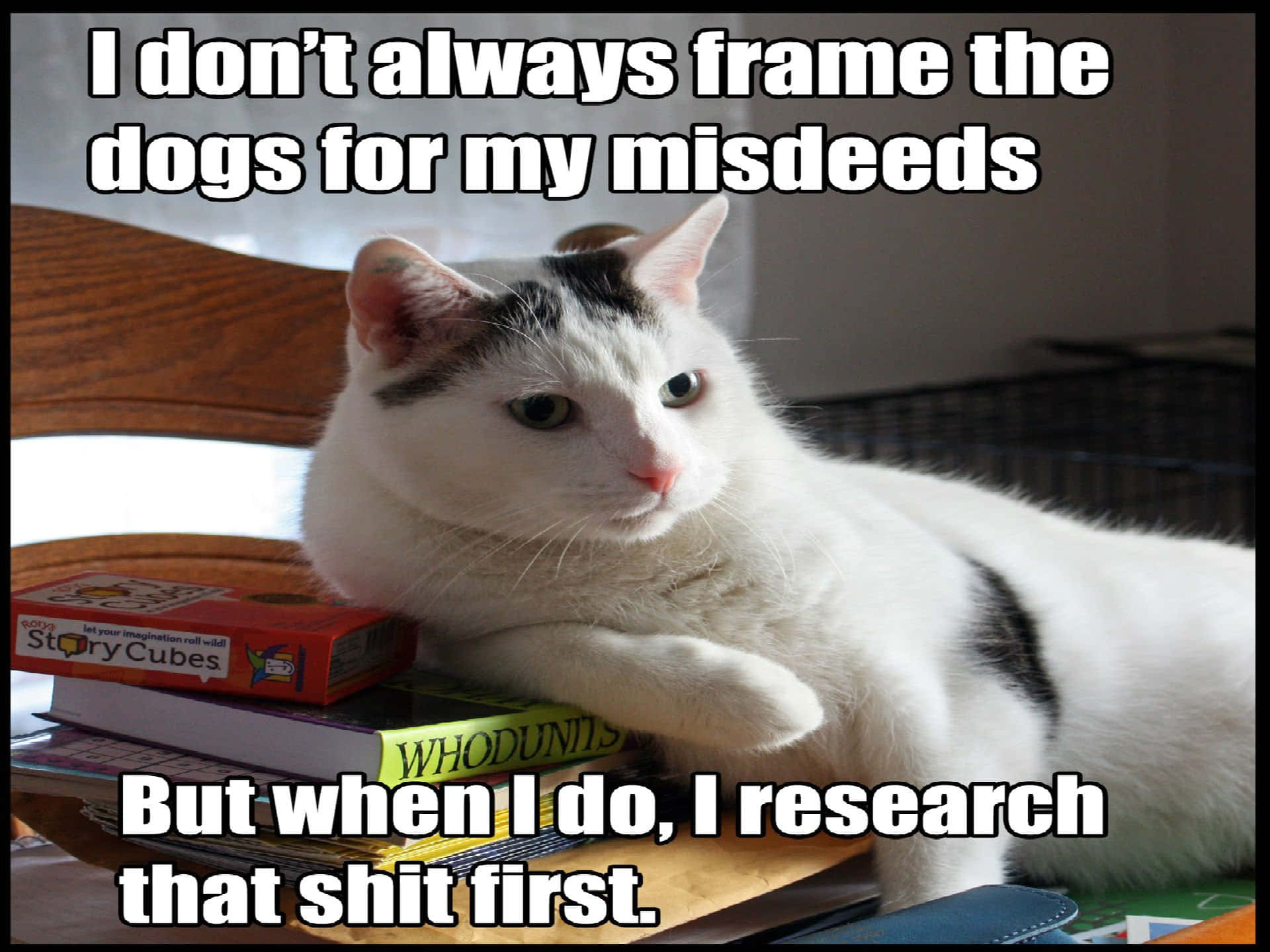Cat Meme Picture Wallpaper