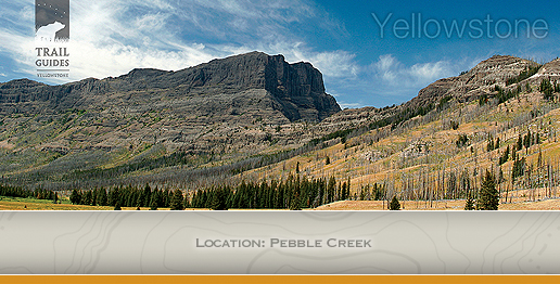 Cell Phone Desktop Wallpaper Image From Trail Guides Yellowstone