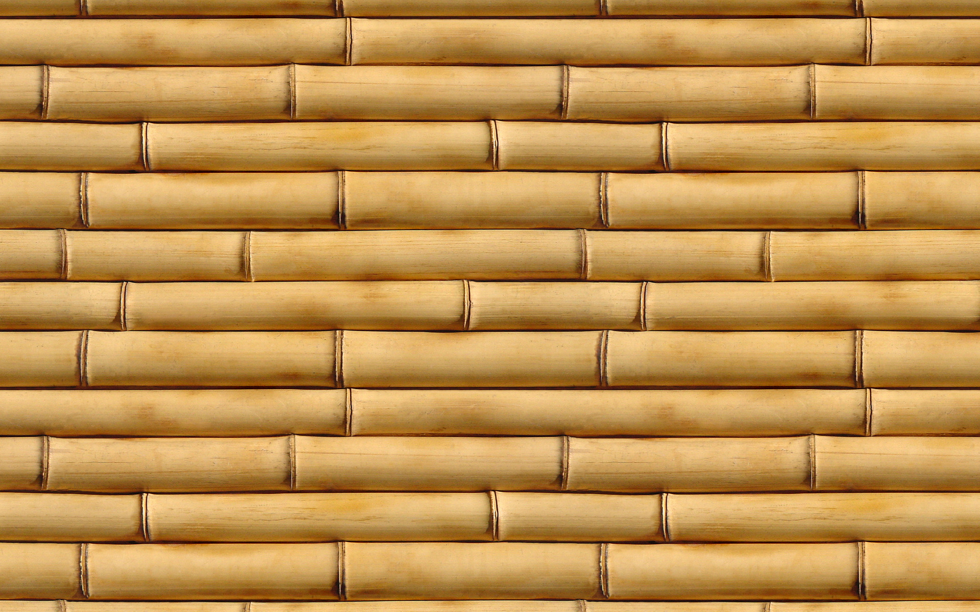 Bamboo Tree Wood Texture Photo Background