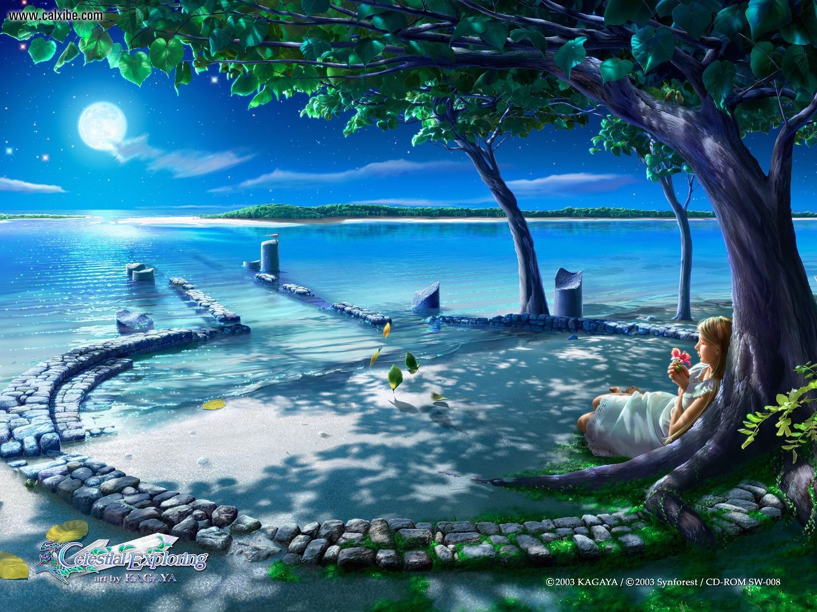 Fantasy Kagaya Celestial Exploring Serenity Picture Nr