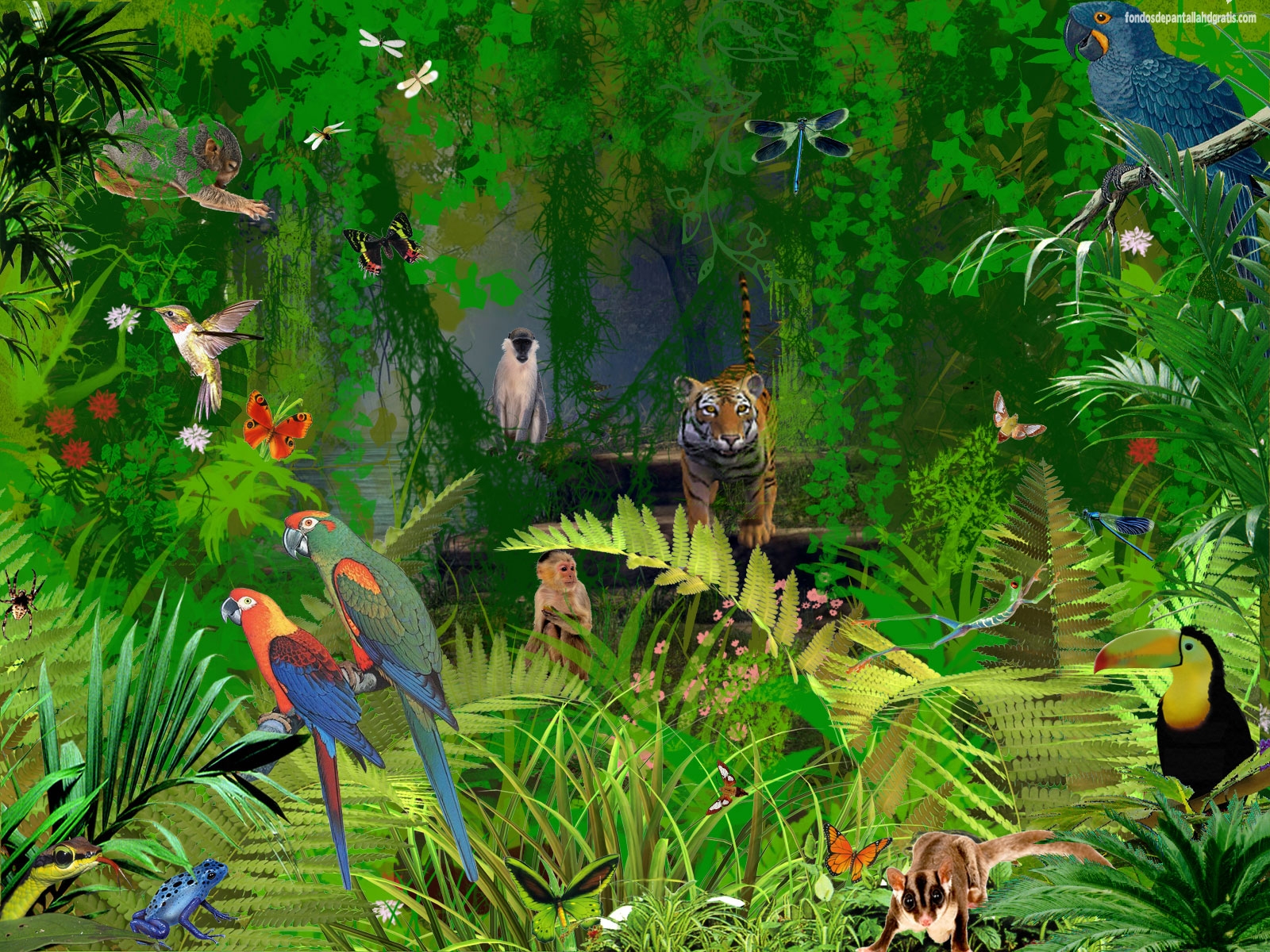 Descargar Imagen Jungle Animals Wallpaper HD Widescreen Gratis