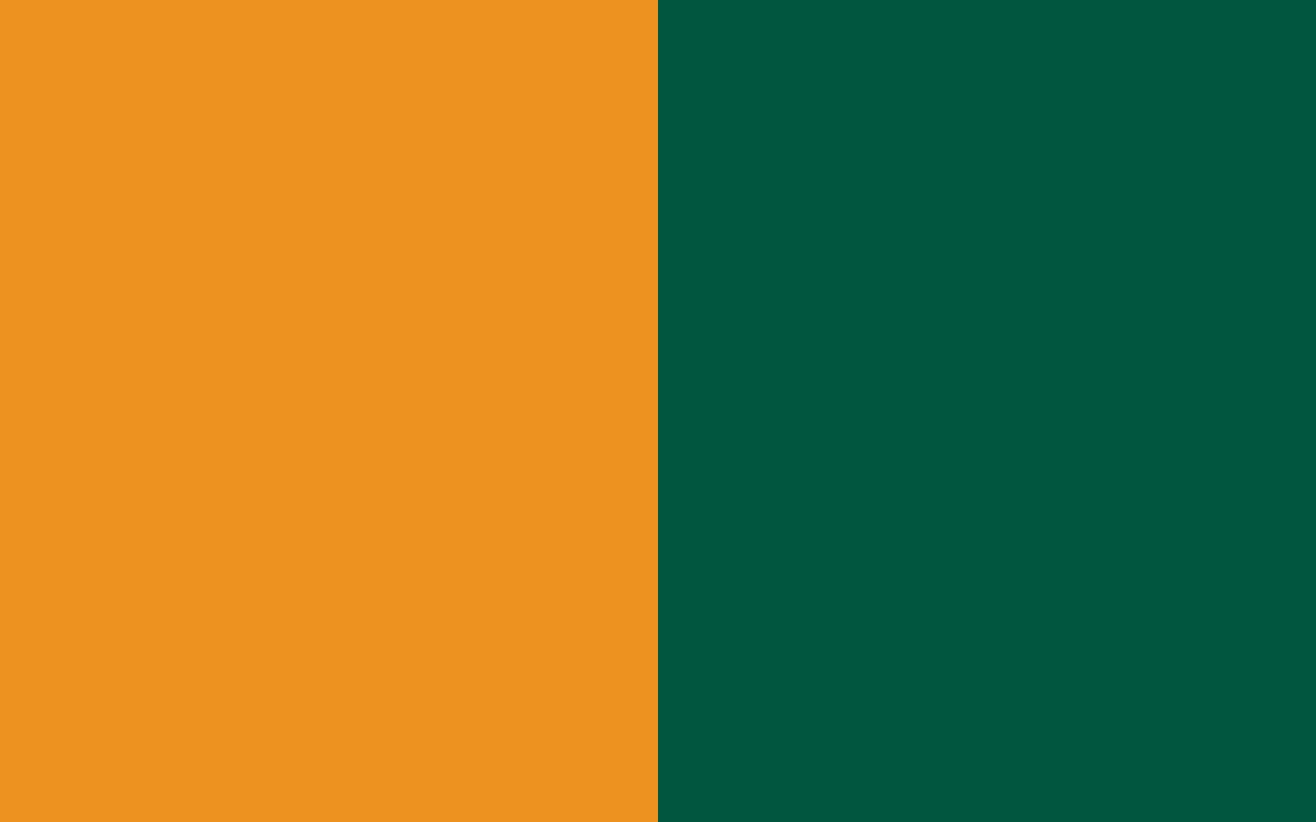 Carrot Orange and Castleton Green solid two color background
