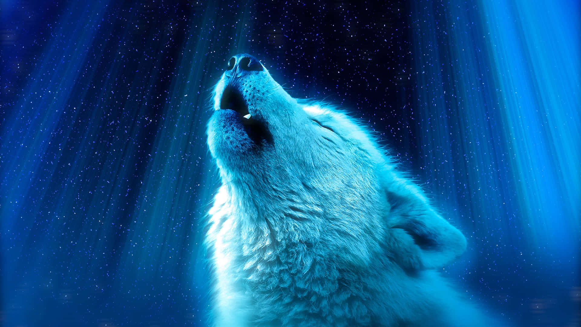 Wolf Aesthetic Wallpaper S