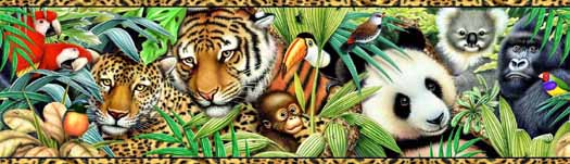 Bright Jungle Safari Wallpaper Border 5814580b
