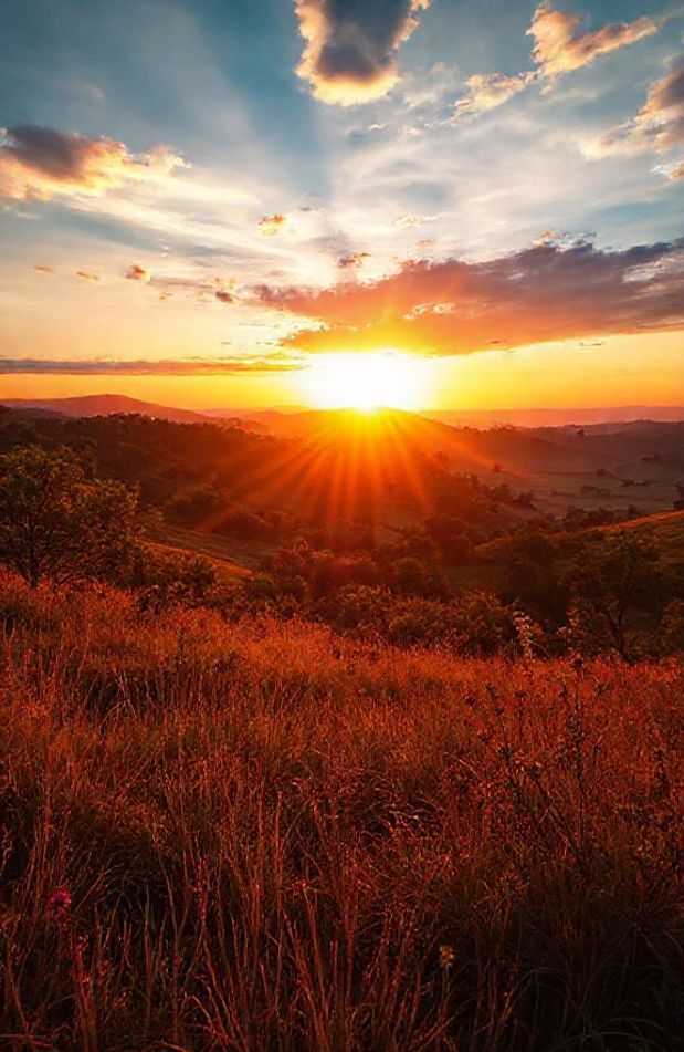 Sony Xperia Hd Wallpaper