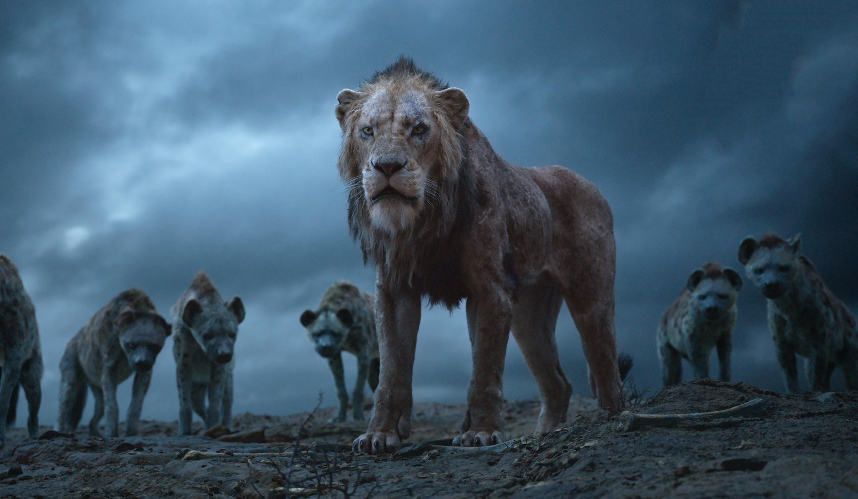 Scar The Lion King Wallpaper HD Movies 4k Image Photos