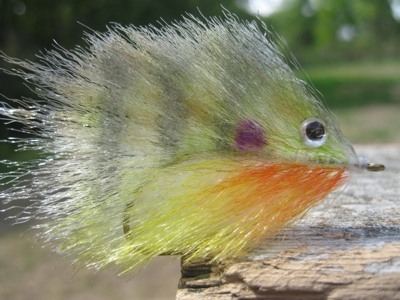 Baby Bluegill Image Search Results