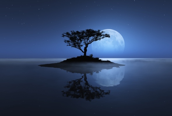 Wallpaper Tree Sea Moon Reflection Island Stars Night Desktop