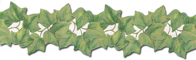 Details About Kitchen Ivy Leaves Die Cut Wallpaper Border Pt40025b