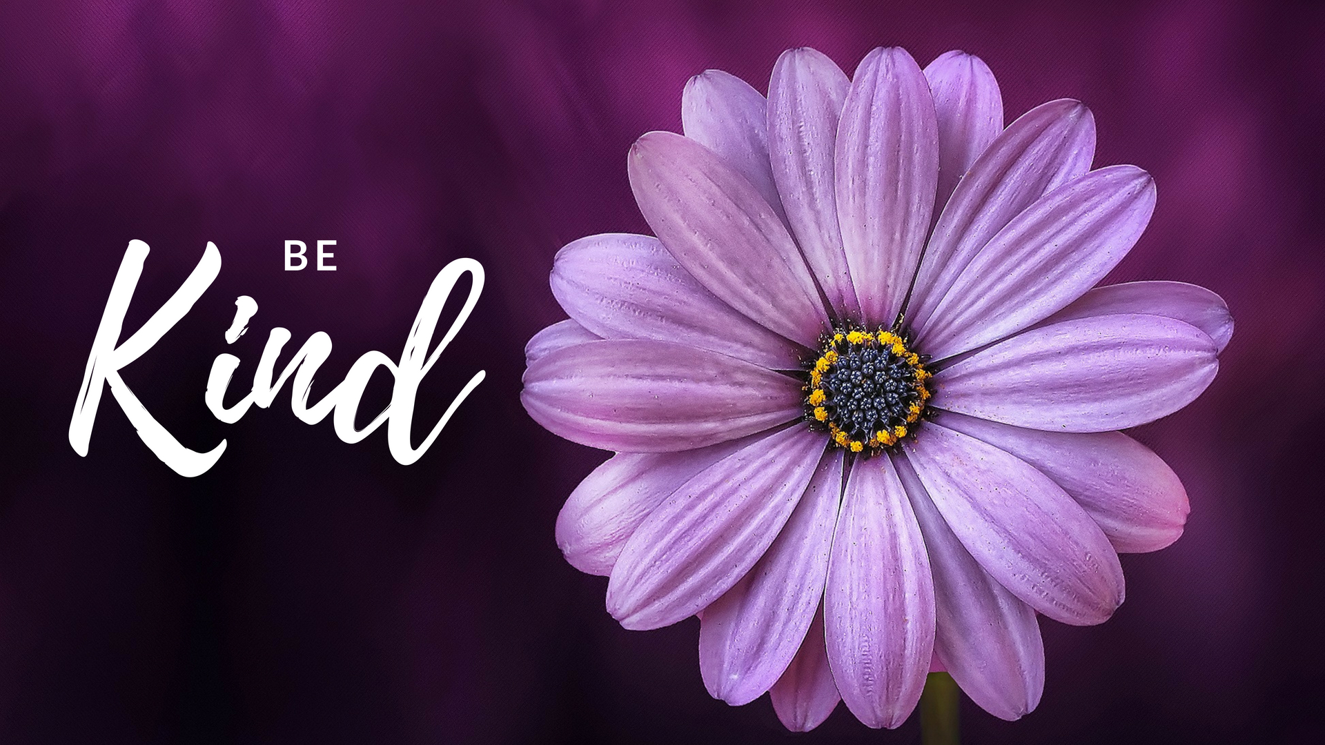Be Kind Wallpaper