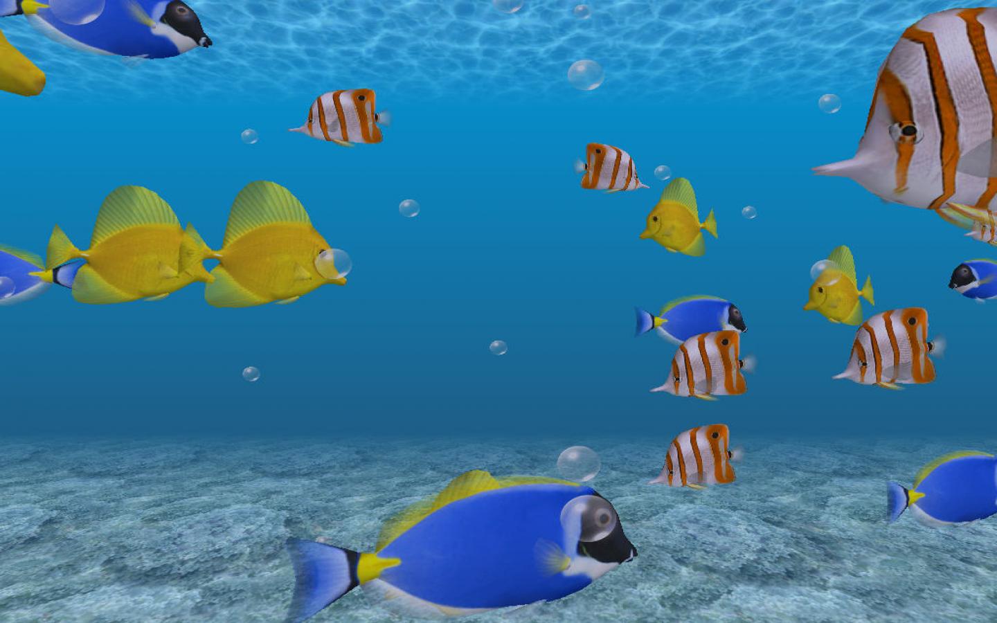 3d Fish Wallpaper HD In Animals Imageci