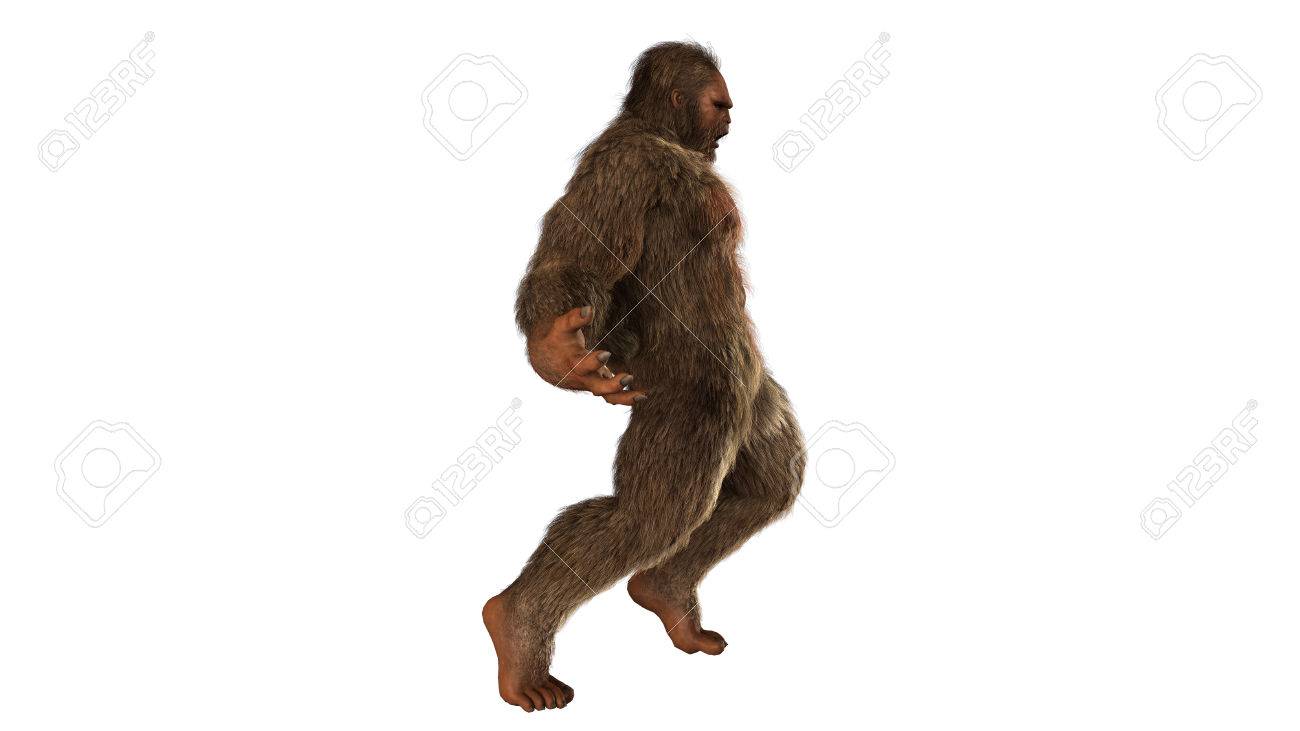 Sasquatch Bigfoot Seperated On White Background Stock Photo