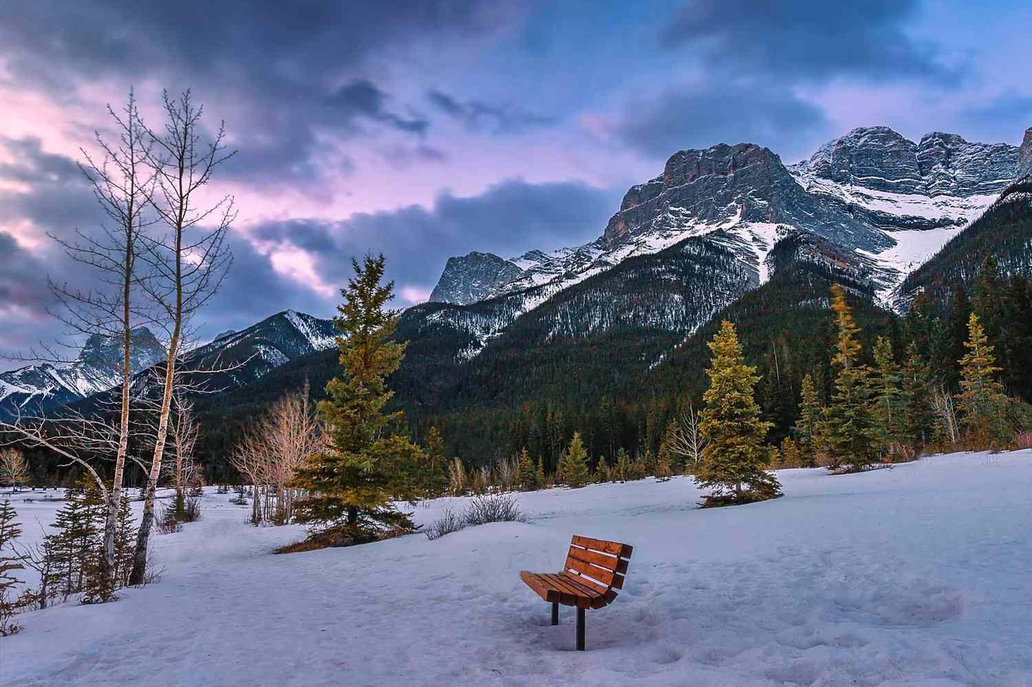 Canadian Rockies in Winter : Action Photo Tours