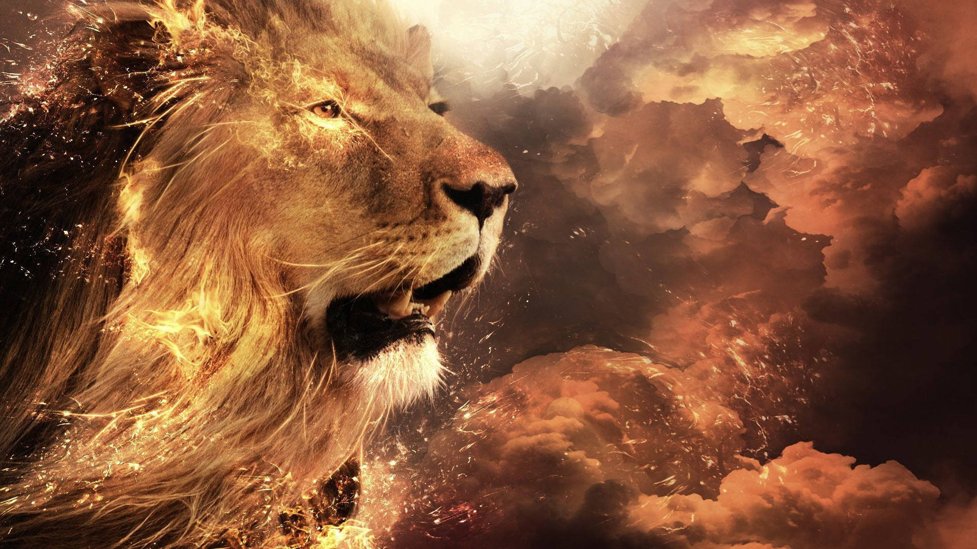 4k Lion In Sky Fbos94kxmjs2e4f6 Wallpaper