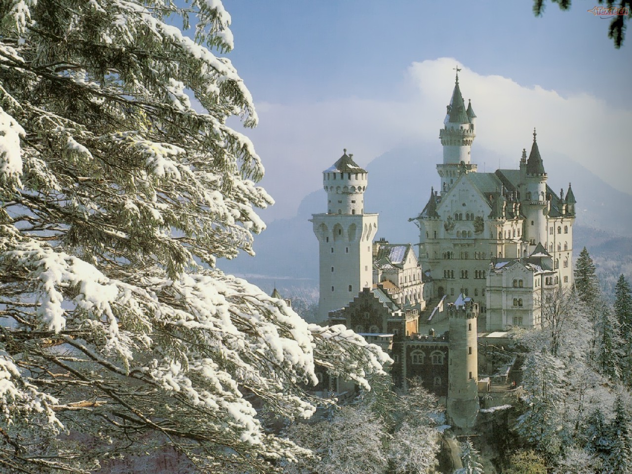 Neuschwanstein Castle Bavaria Germany Forest Snow