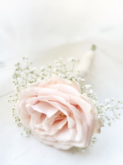 Blush Pink Wedding Inspiration 100 Romantic Ideas HappyWeddcom