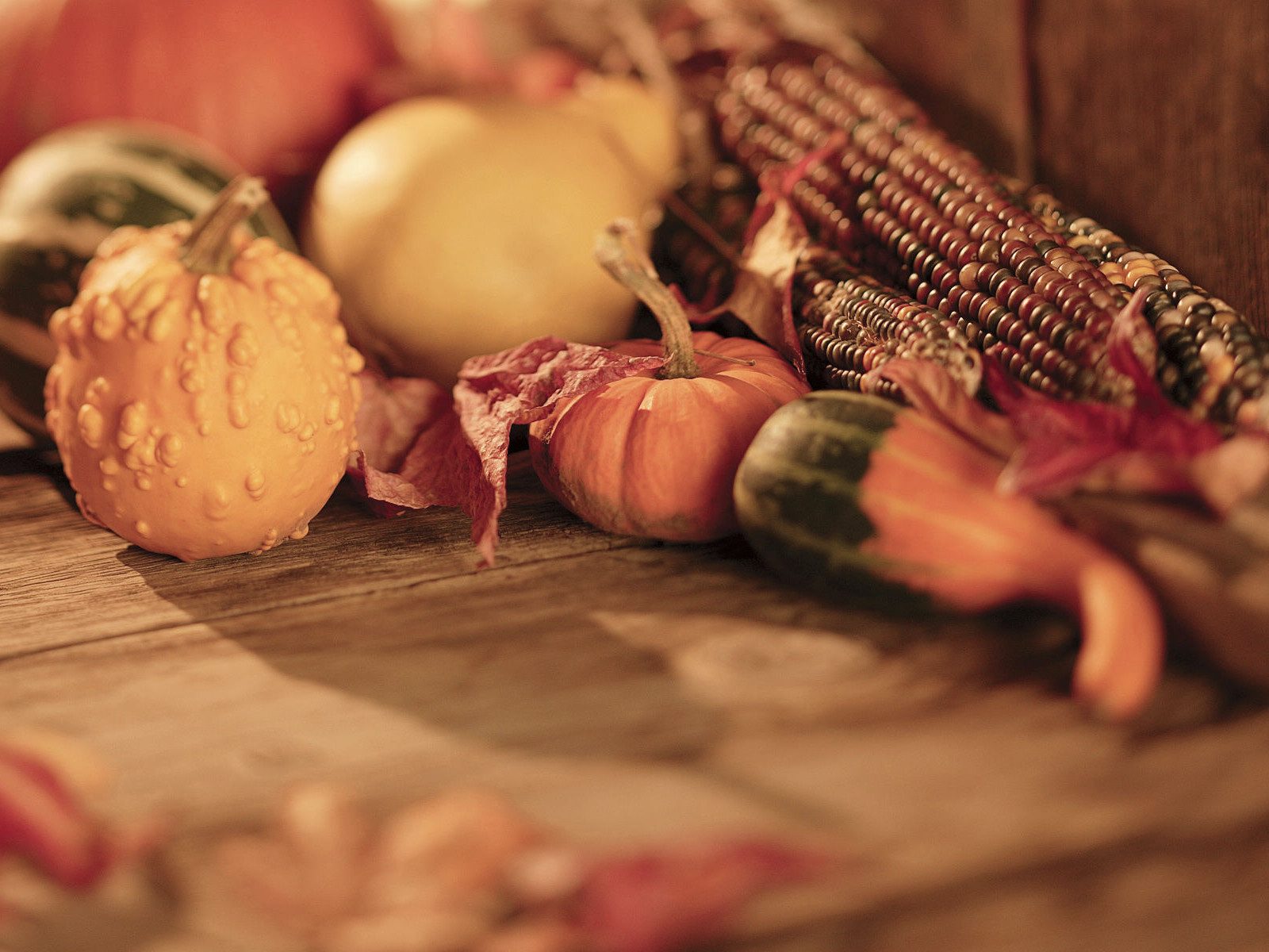Thanksgiving Day wallpapers Thanksgiving Day stock photos