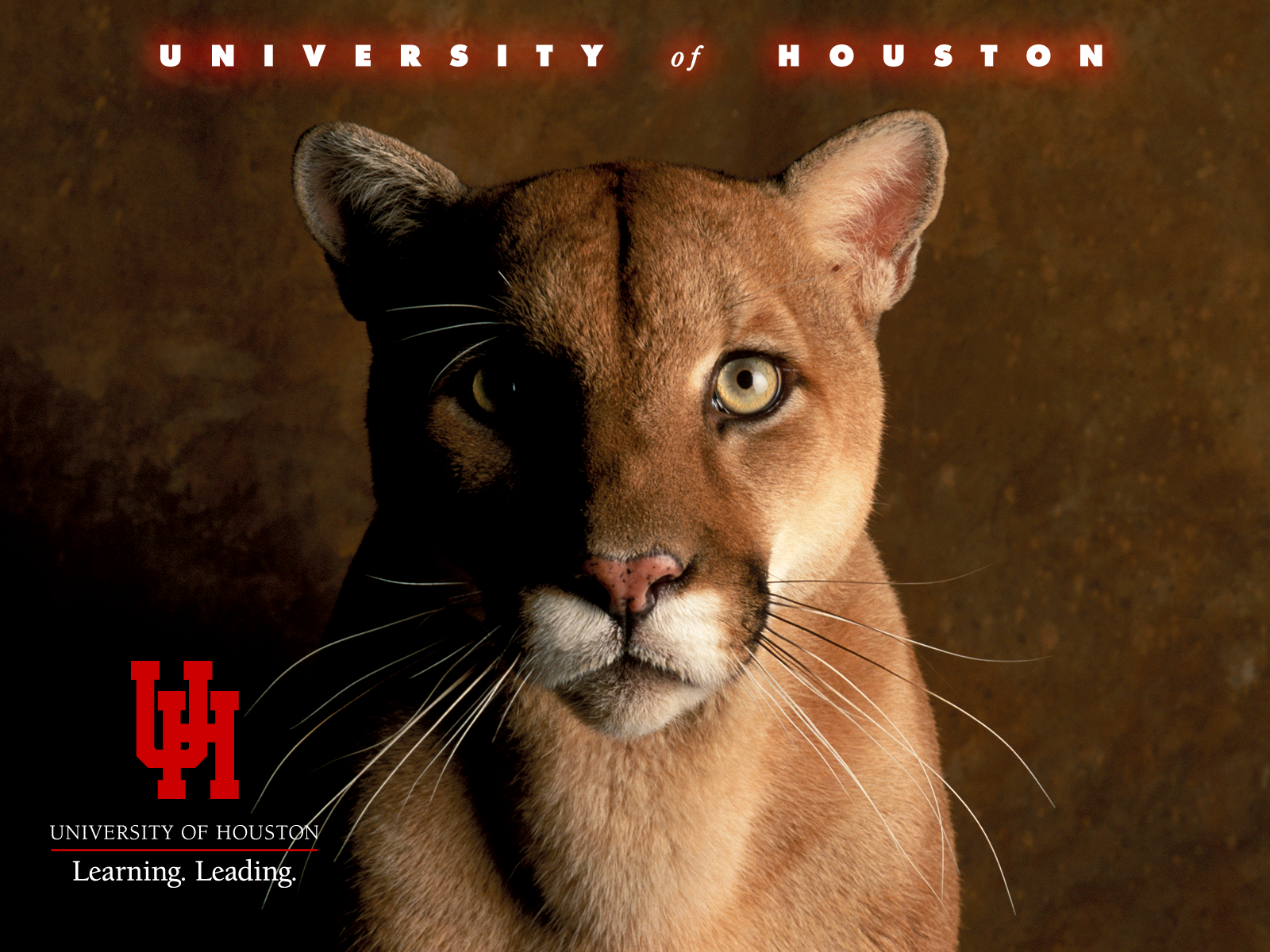 University Of Houston Themes Screensavers Desktop Background